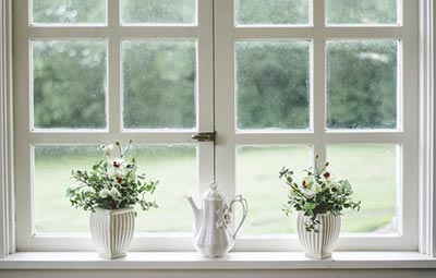 Wiese painting can help determine if i should replace my all my windows at once. 
